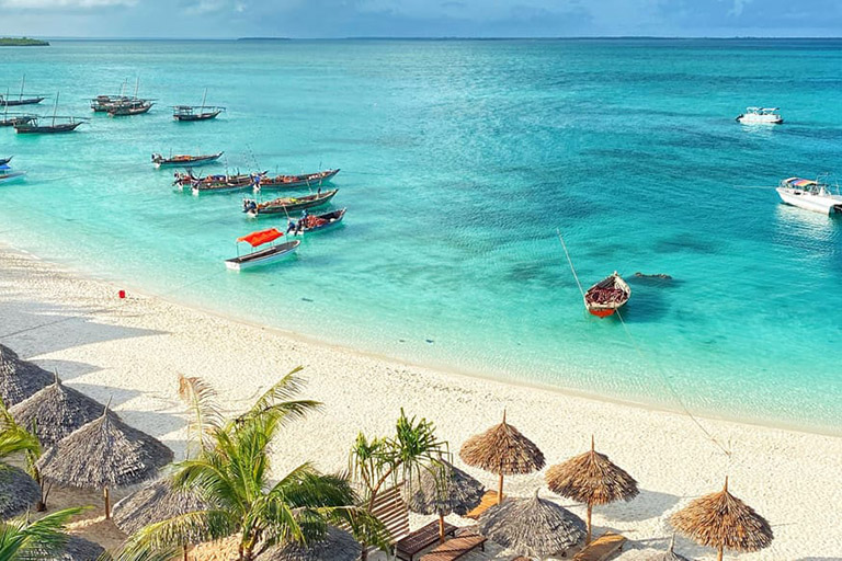 Beach Excursion Tours