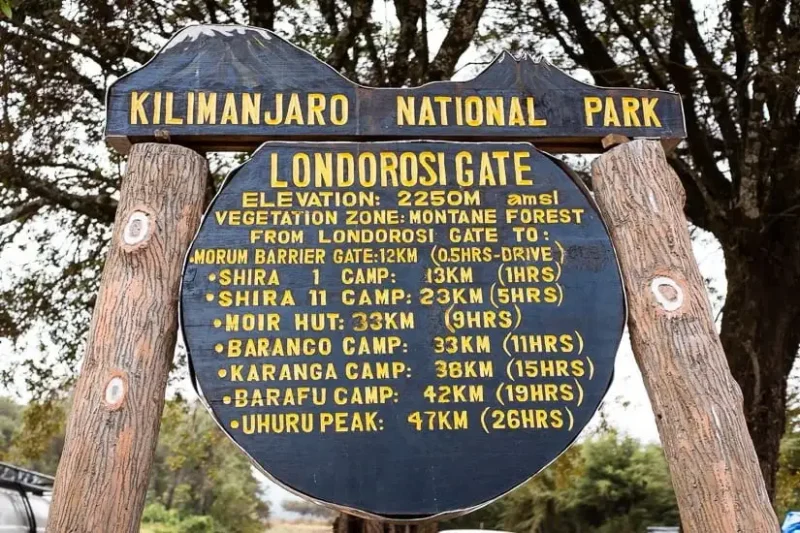 Lemosho Route Kilimanjaro