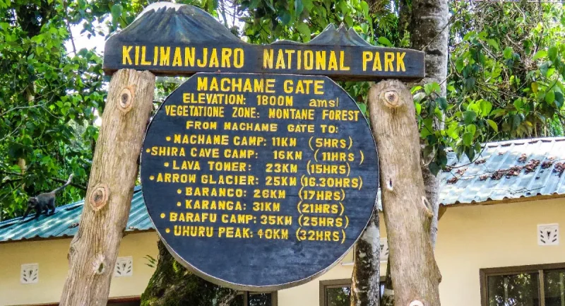 Machame Route Mount Kilimanjaro trek