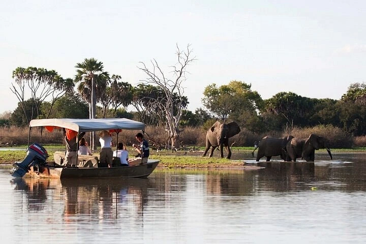 Nyerere National Park Tanzania safari