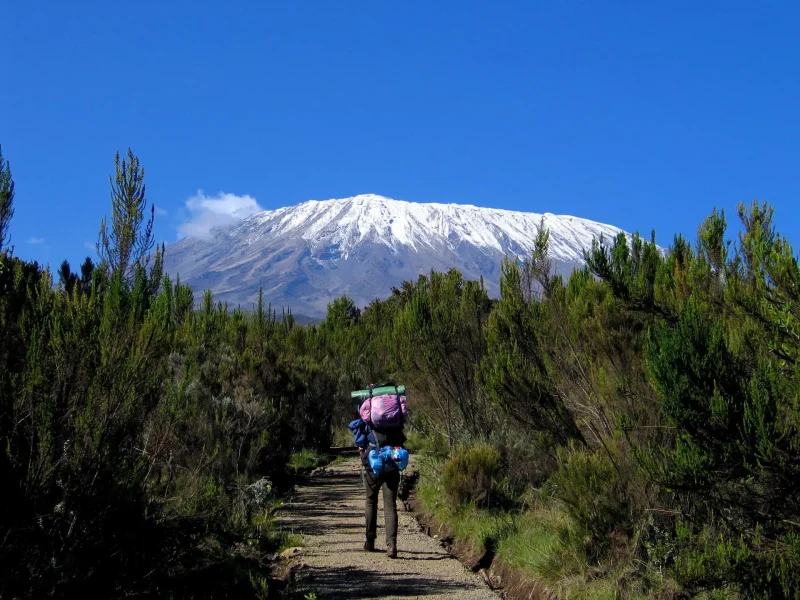 Rongai Route Kilimanjaro trekking experience