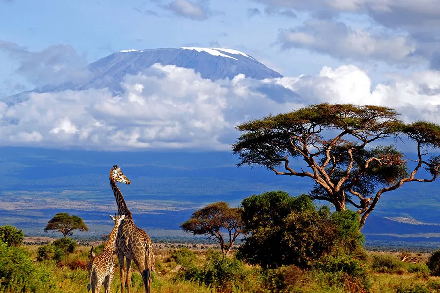 Arusha National Park nature and wildlife excursion