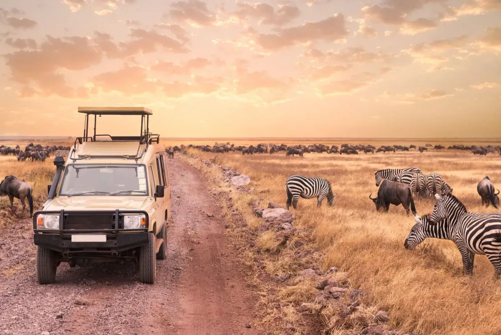 Tanzania safari tips
