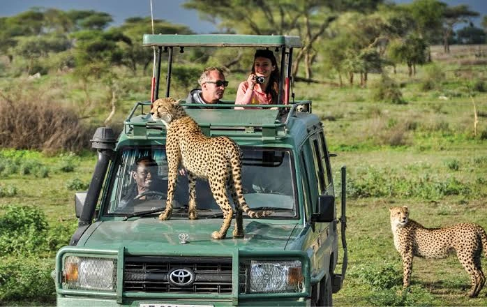Tanzania safari authentic experience