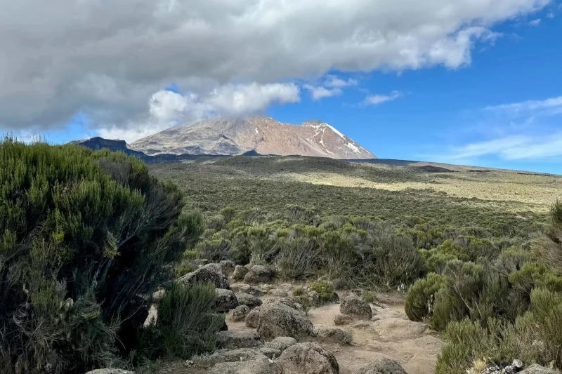 Lemosho Route Kilimanjaro scenery