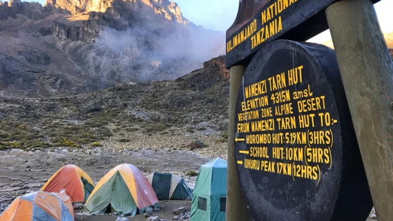 Rongai Route Kilimanjaro trekking experience