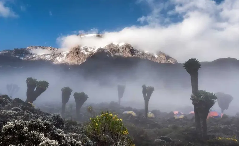 High-altitude terrain on the Lemosho Route of Mount Kilimanjaro