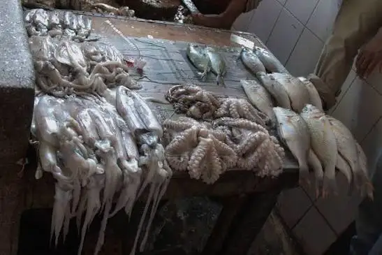 Zanzibar seafood and coastal cuisine