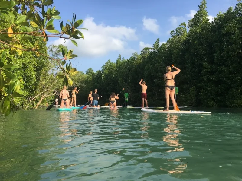 Zanzibar mangroves and coastal ecosystems