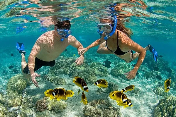Zanzibar coral reefs snorkelling and tropical fish